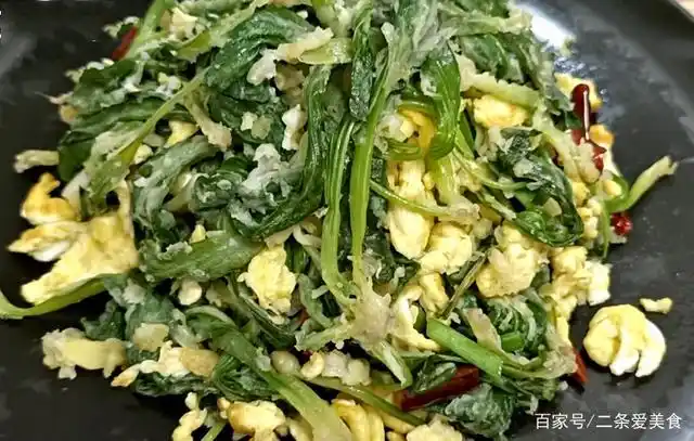 春天,教你车前草新吃法,简单一炒,鲜嫩入味,一顿一盘不够吃