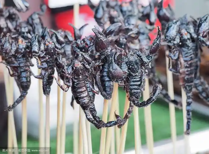 油炸蝎子串在街头出售.曼谷,泰国.