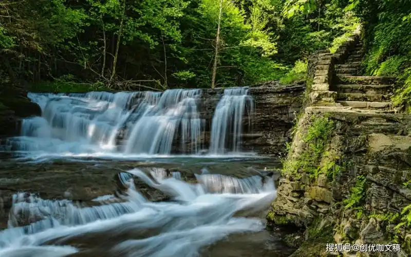 生肖虎:自由之翼.生肖虎向往自由,追求无拘无束的生活.在1.7-2.