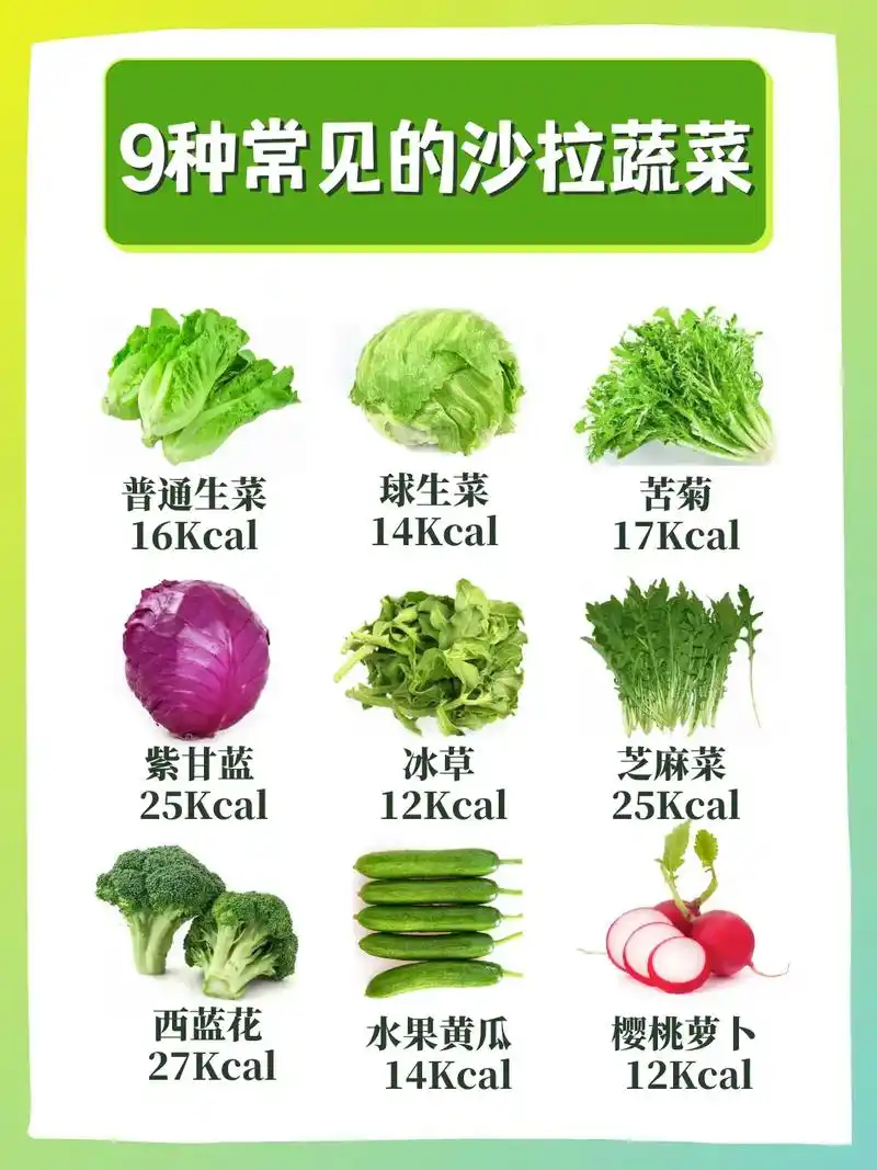 减脂 健身必备6015盘点9种常见的沙拉蔬菜02 以上都是平时