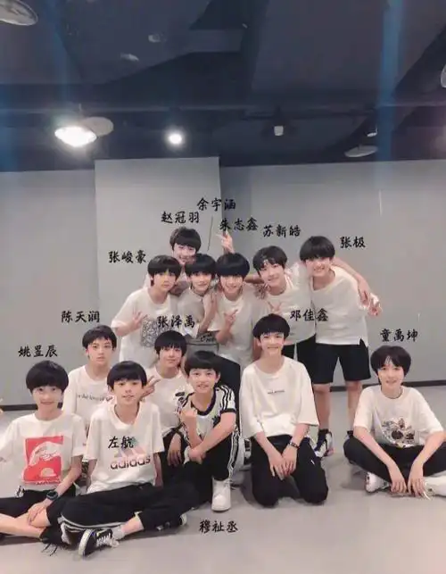 tf家族三代