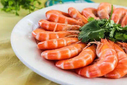 渔家姐妹大排档