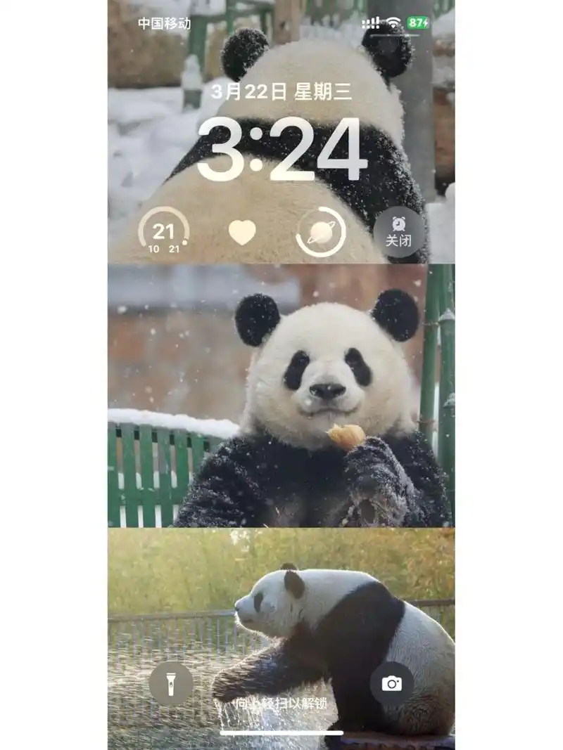 新壁纸怎么会这么可爱!帅气又自信的胖达萌兰是最棒的