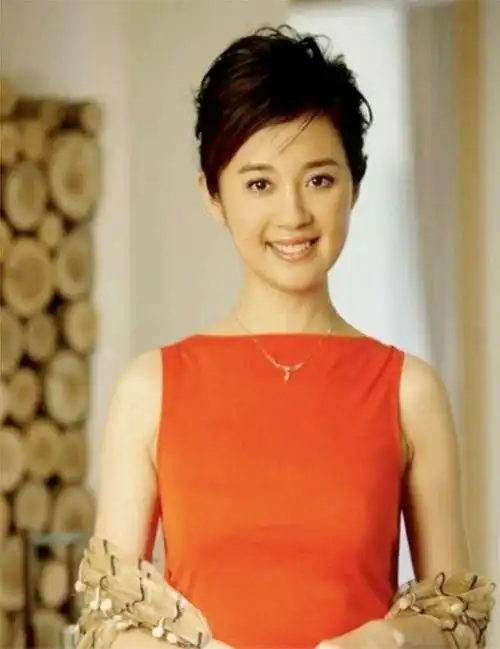 央视主持许戈辉:让富豪痴迷,为娶她拿1亿给前妻?现状