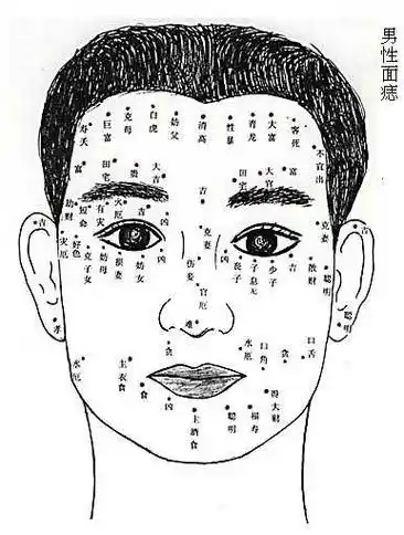 左手臂痣相图大全(左手臂痣的位置与命运图)