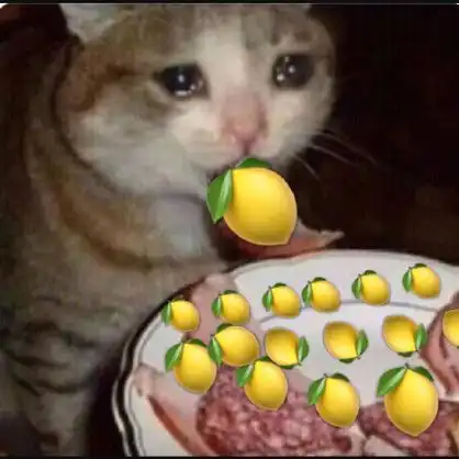 流泪猫咪吃柠檬