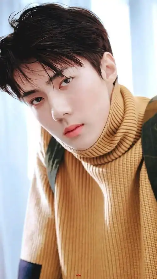 吴世勋将出演新剧让你去爱