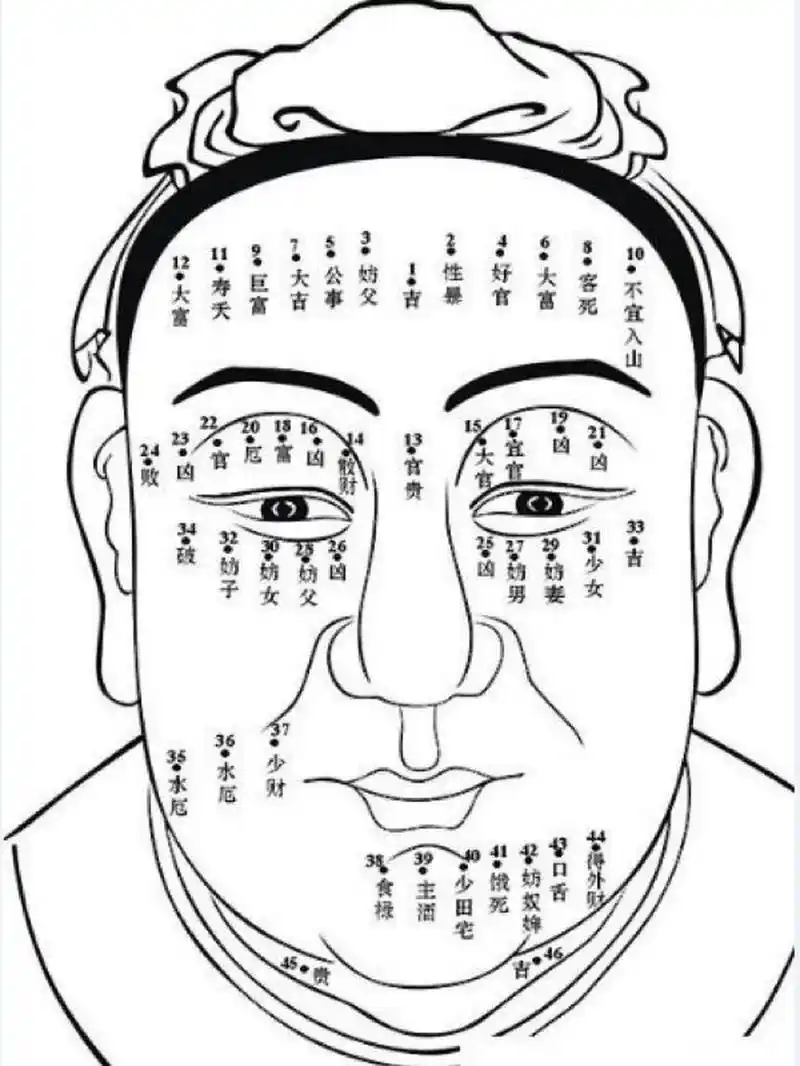 左边的眉毛长了痣,是跟佛有缘的 面向学里,把眉毛当中的部位叫做"朋友