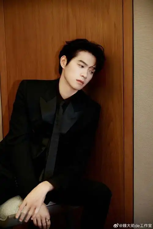 魏大勋年度青年男演员