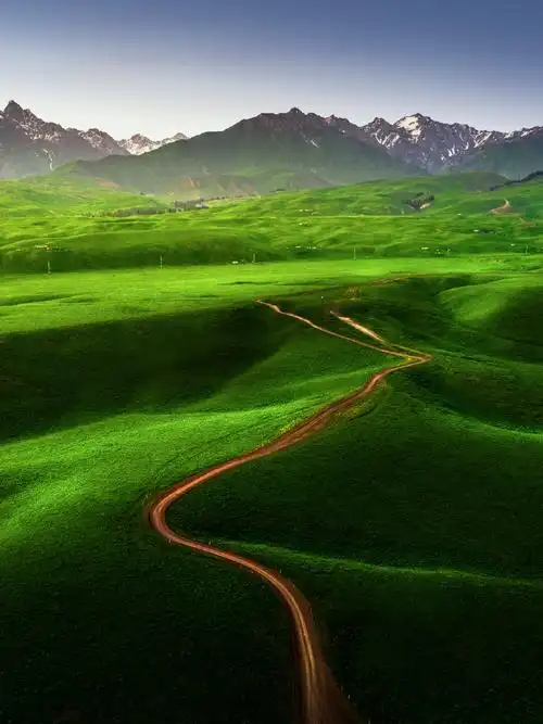 新疆伊犁##新疆##唐布拉百里画廊##唐布拉草原