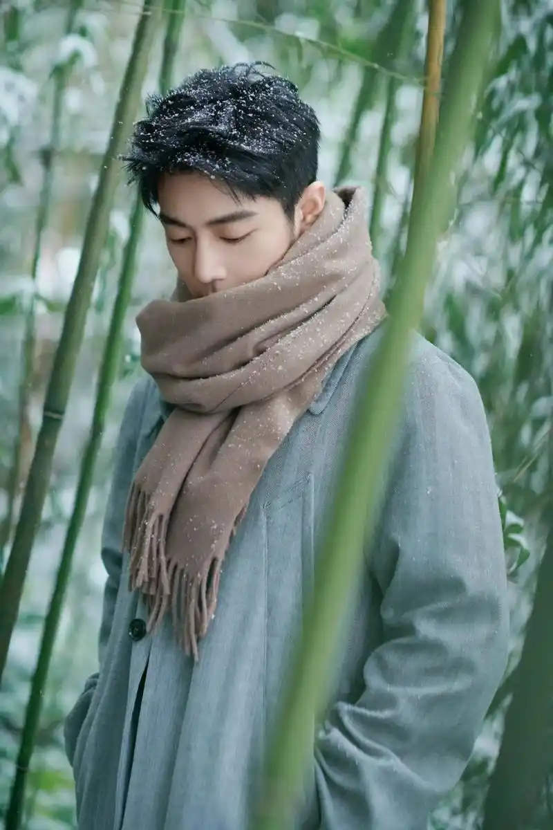 你来时冬至但眉上风止肖战冬至竹林大片