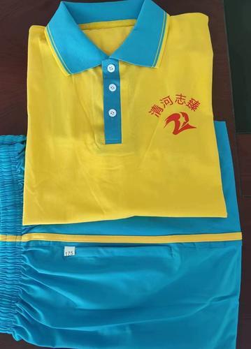 衡水二中清河校区安平滨湖志臻初中中学生校服学生校服