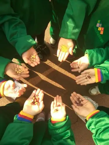 种下一颗真心,撒播爱的种子!