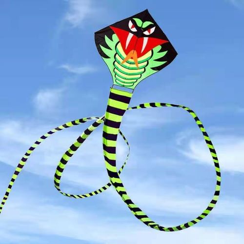 60navcon潍坊风筝超长30米大蛇风筝成人儿童初学者微风易飞超大型仅