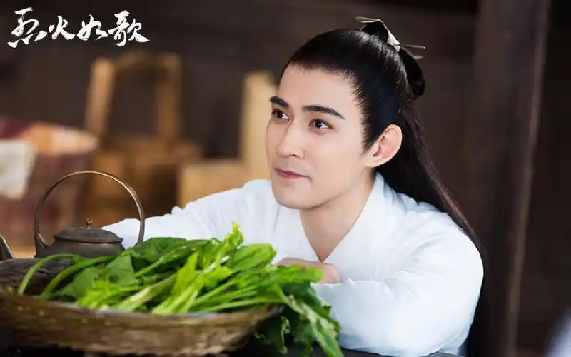 周渝民演的电视剧(周渝民演的电视剧演的第一美男是什么电视)-第1张