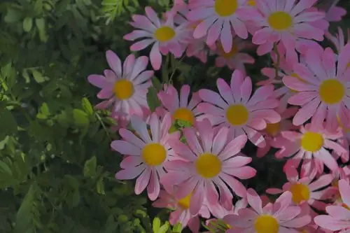 壁纸 桌面壁纸 聊天背景 锁屏壁纸 ins 油画 iphone 【禁商用】