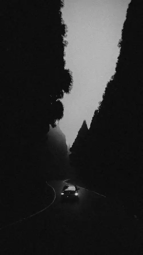 有没有什么好看的黑白壁纸?