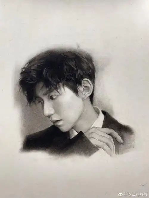 吃草的爆爆笔下的王源!#素描