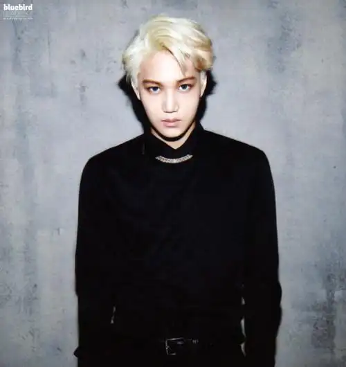 p>金钟仁(         /kim jong in),艺名      /kai,1994年1月14日