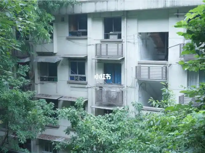 梅姐的第一条广告片