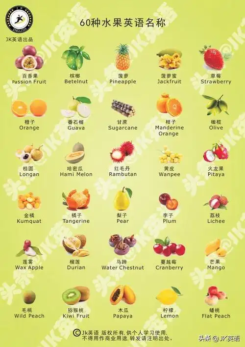 60种水果英语名称大全插图珍藏版
