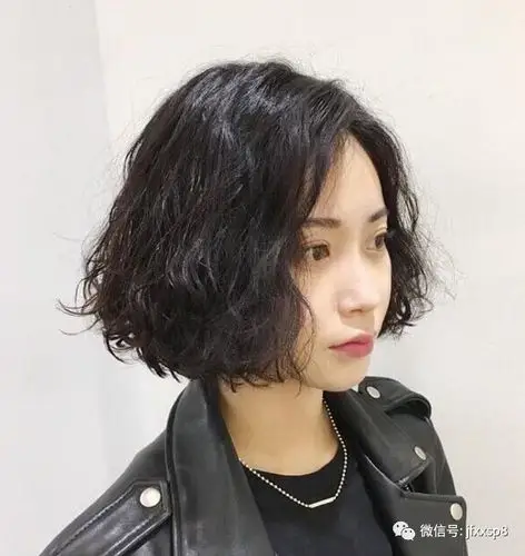 狗年流行"泰迪卷|泰迪|发型|毛发_新浪新闻