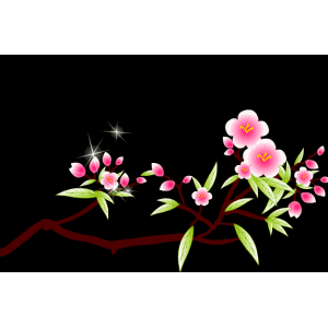 300_300gif 动态图 动图