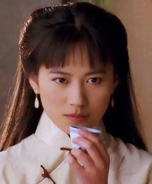 明星俞飞鸿简介(演员俞飞鸿51岁风韵犹存)(10)