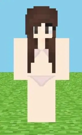 我的世界沙滩妹子皮肤存档分享