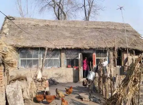 二十年前的农村景象