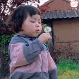 萌娃丸子妹表情包动图 可爱的表情包收集点赞评论发布到表情包鸭哦