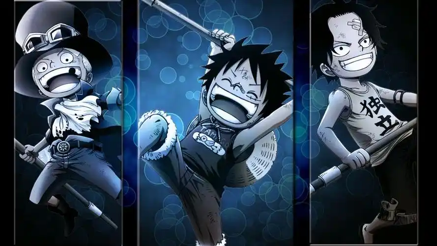 标签海贼王艾斯萨博路飞简介纯色壁纸为您提供高清的路飞艾斯萨博三