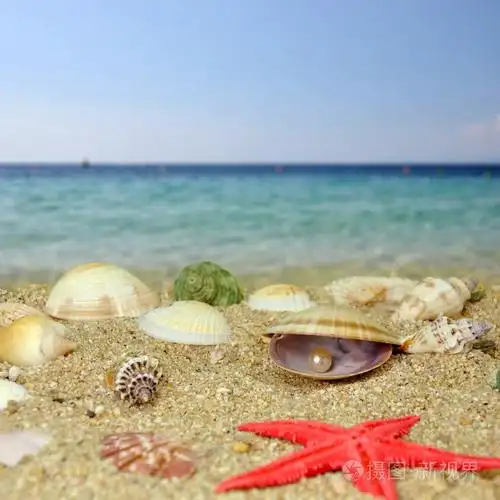 海边的贝壳和珍珠