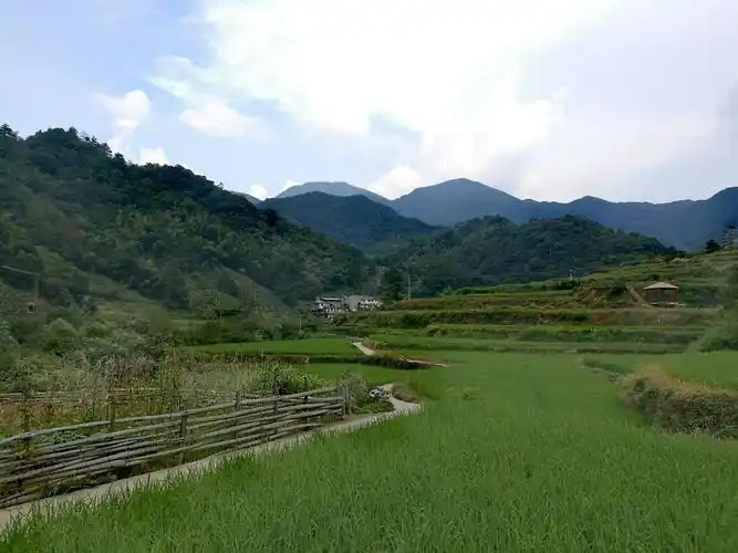 走进美丽的大山村