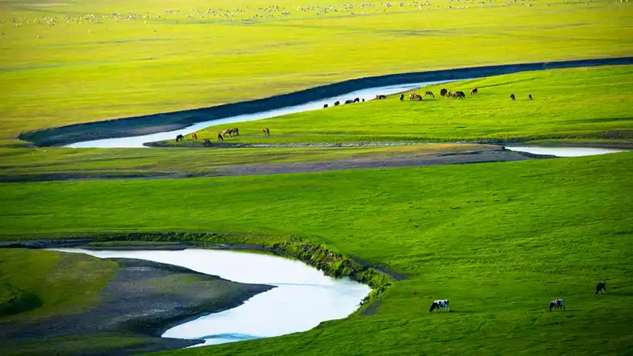 呼伦贝尔大草原唯美风景图片桌面壁纸