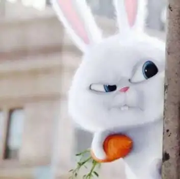 呆萌可爱的鼠兔其实是个万兽迷每天都要提防各种动物