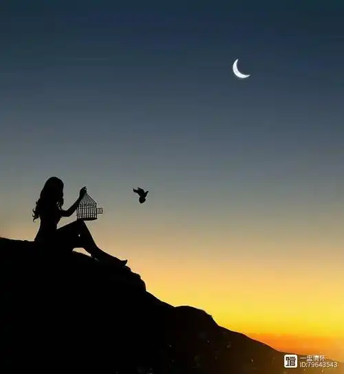 伤心失望的心情句子,深情催泪,边看边哭!