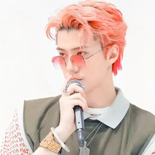 文艺部会长吴世勋和摄影社学长边伯贤的梦幻联动