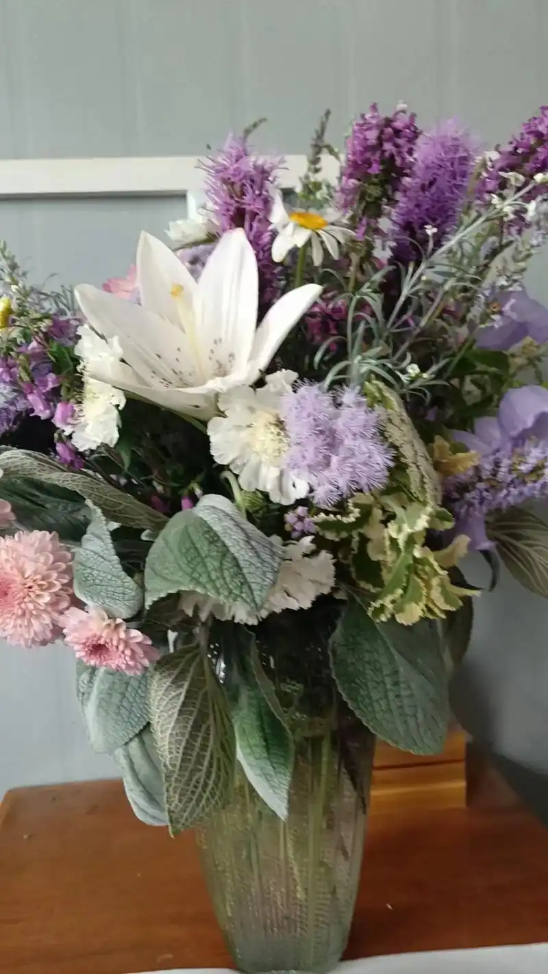 夕雾草 香茶菜银盾 大丽花 麒麟菊 柳叶星河花 蓝雾花 风 - 抖音