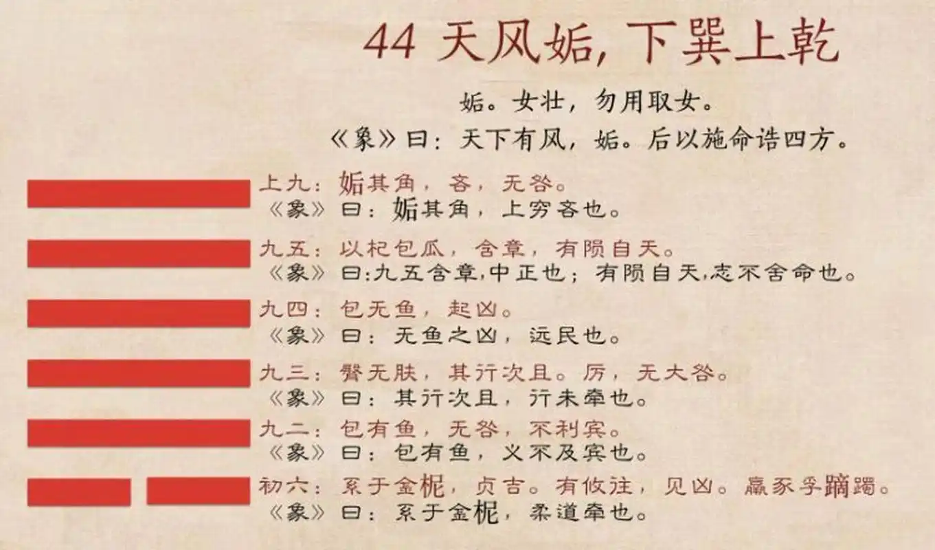 " 姤卦是天风姤,是天下有风,是天下有风在吹,是柔遇刚.