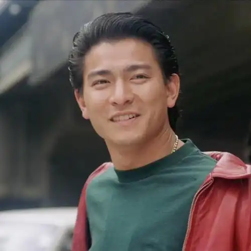 盘点刘德华排名前十的电影(刘德华评分最高的十部电影)(4)