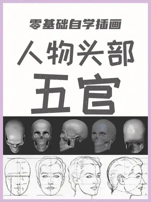 day21人物五官头部画法解析零基础插画