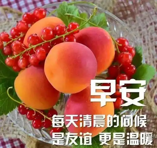 夏日清晨早上好图片带字带祝福语免打字朋友圈早安问候祝福语图片