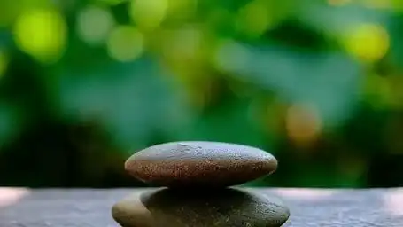 做人谨记:祸从口出,言多必失,谨言慎行!