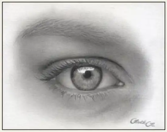 女性的眼睛铅笔画
