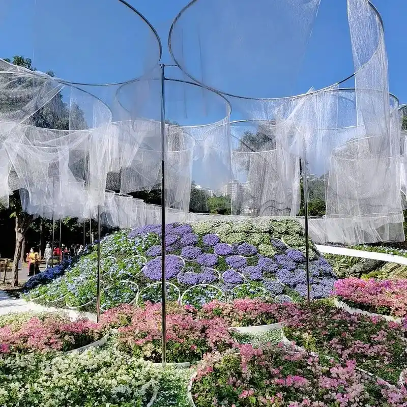 一年一度的#2021深圳簕杜鹃花展 来啦,就在 #莲花山公园 - 抖音