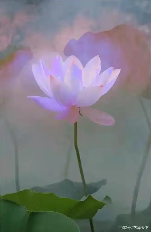 净化心灵的作品