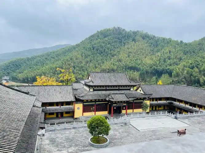 宜春仰山栖隐禅寺的银杏