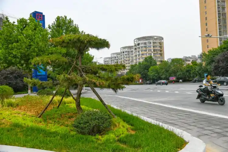 滨河路与石河路交叉口环岛之朴路与中原西路交叉口西南角紫荆路与中原