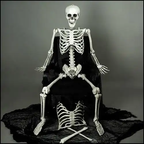 骷髅万圣节鬼屋密室逃脱仿真骨架摆件头骨模型其它